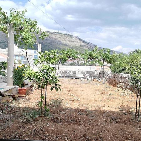 Apartment Vera Dubrovnik Dış mekan fotoğraf